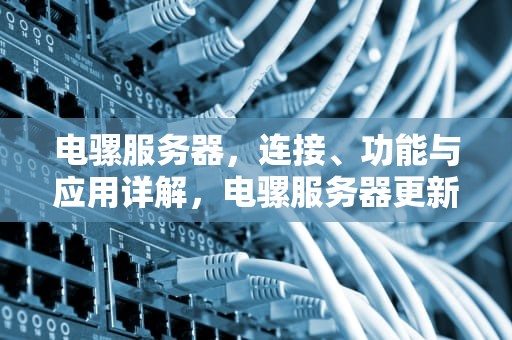 电骡服务器，连接、功能与应用详解，电骡服务器更新ID