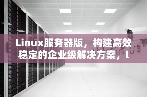 Linux服务器版，构建高效稳定的企业级解决方案，linux服务器版本查询命令