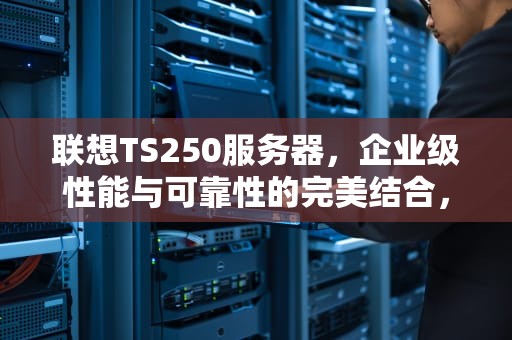 联想TS250服务器，企业级性能与可靠性的完美结合，联想ts250服务器参数