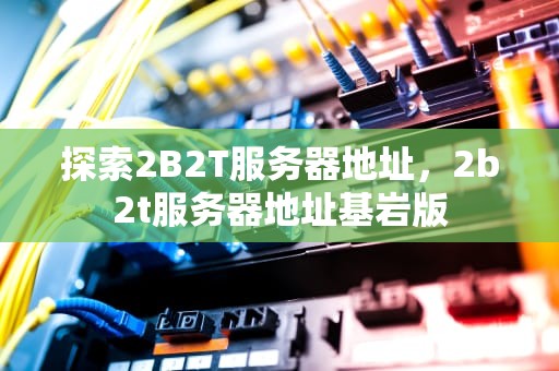 探索2B2T服务器地址，2b2t服务器地址基岩版