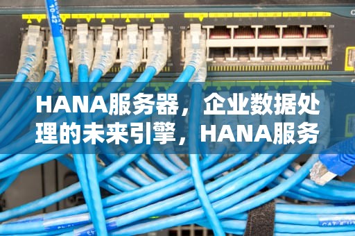 HANA服务器，企业数据处理的未来引擎，HANA服务器市场排名