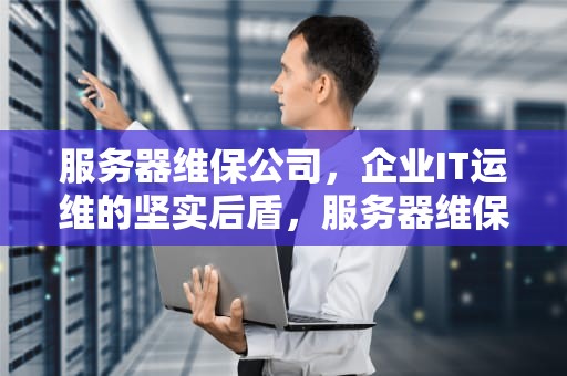 服务器维保公司，企业IT运维的坚实后盾，服务器维保公司排名