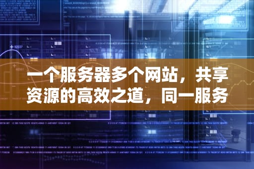 一个服务器多个网站，共享资源的高效之道，同一服务器多个网站