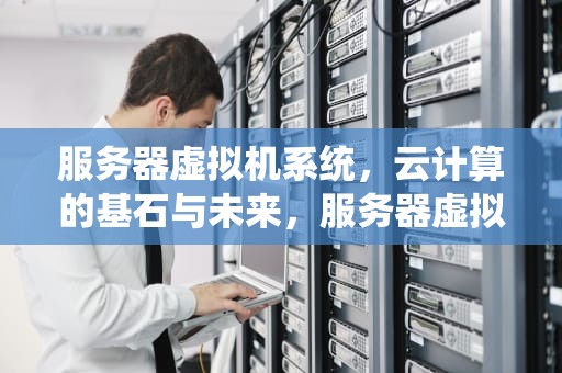 服务器虚拟机系统，云计算的基石与未来，服务器虚拟机系统哪个好
