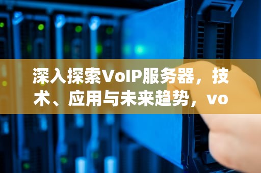 深入探索VoIP服务器，技术、应用与未来趋势，voip服务器搭建