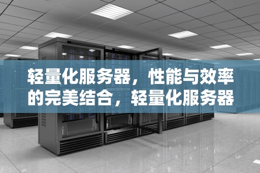 轻量化服务器，性能与效率的完美结合，轻量化服务器和云服务器的区别