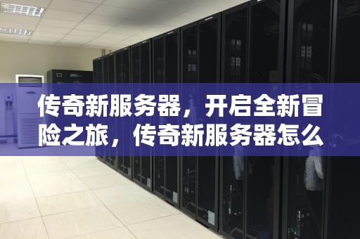 传奇新服务器，开启全新冒险之旅，传奇新服务器怎么进