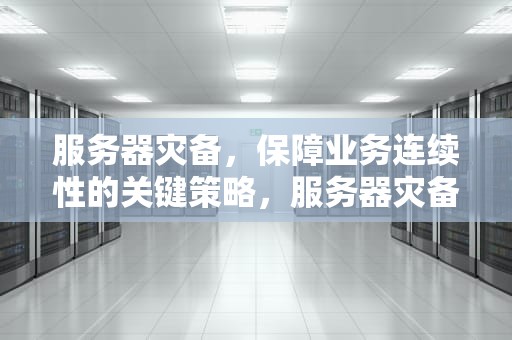 服务器灾备，保障业务连续性的关键策略，服务器灾备方案