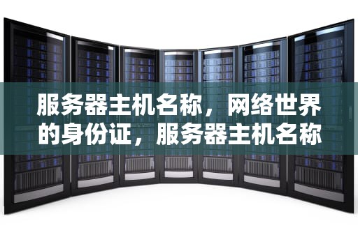 服务器主机名称，网络世界的身份证，服务器主机名称怎么看