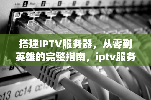 搭建IPTV服务器，从零到英雄的完整指南，iptv服务器搭建教程