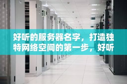 好听的服务器名字，打造独特网络空间的第一步，好听的服务器名字古风