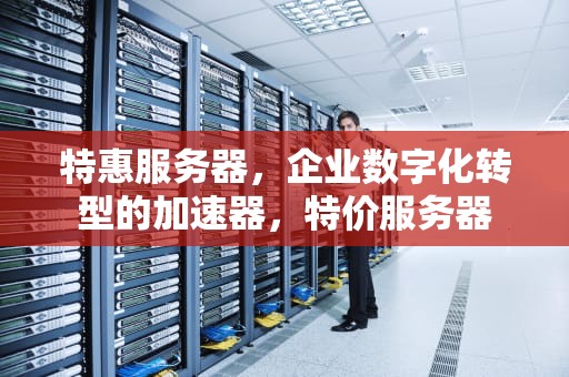 特惠服务器，企业数字化转型的加速器，特价服务器