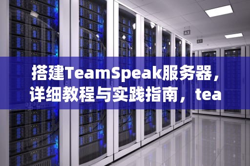 搭建TeamSpeak服务器，详细教程与实践指南，teamspeak服务器价格