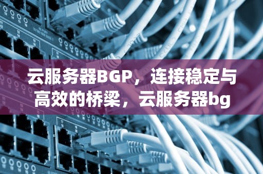 云服务器BGP，连接稳定与高效的桥梁，云服务器bgp和普通有什么区别