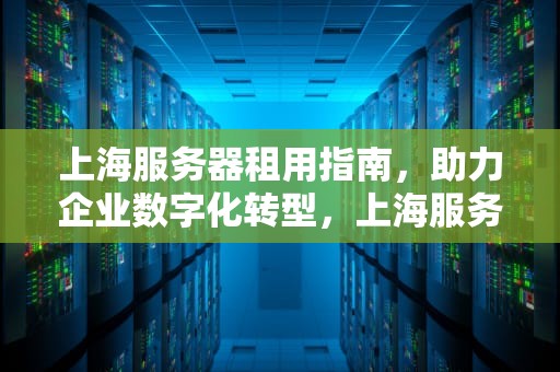 上海服务器租用指南，助力企业数字化转型，上海服务器租用 三线