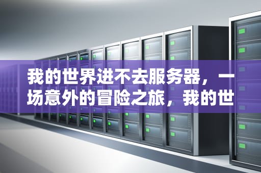 我的世界进不去服务器，一场意外的冒险之旅，我的世界进不去服务器怎么办