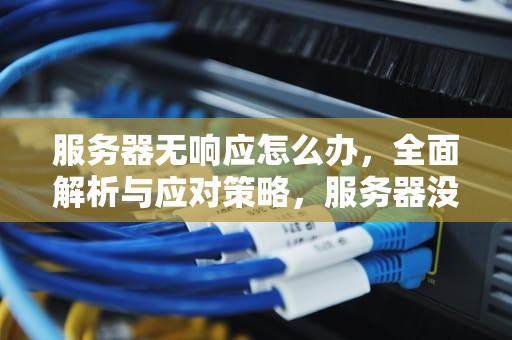 服务器无响应怎么办，全面解析与应对策略，服务器没有响应是什么意思