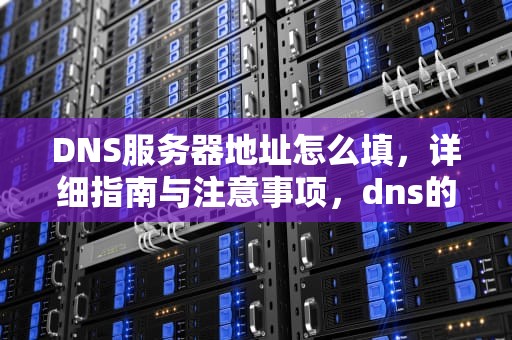 DNS服务器地址怎么填，详细指南与注意事项，dns的服务器怎么填