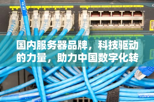 国内服务器品牌，科技驱动的力量，助力中国数字化转型，国内服务器品牌排行榜