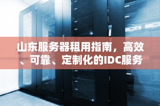 山东服务器租用指南，高效、可靠、定制化的IDC服务解析，济南服务器租用