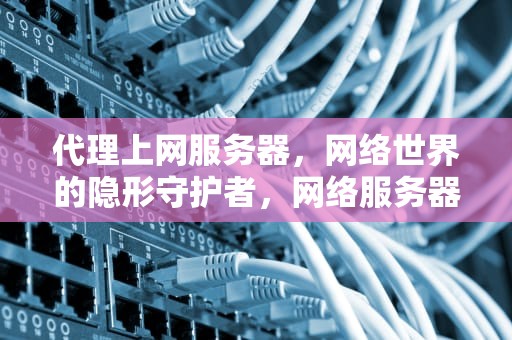 代理上网服务器，网络世界的隐形守护者，网络服务器代理