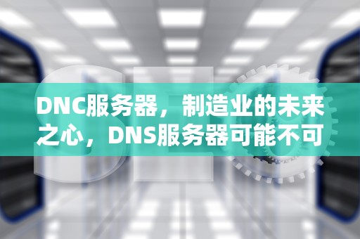 DNC服务器，制造业的未来之心，DNS服务器可能不可用什么意思