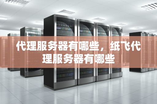 代理服务器有哪些，纸飞代理服务器有哪些