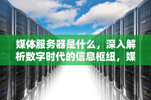 媒体服务器是什么，深入解析数字时代的信息枢纽，媒体服务器是什么意思