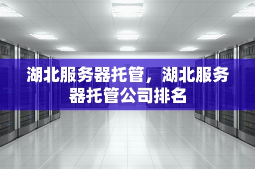 湖北服务器托管，湖北服务器托管公司排名