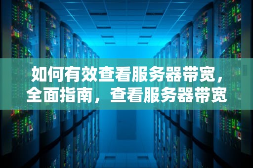 如何有效查看服务器带宽，全面指南，查看服务器带宽进程