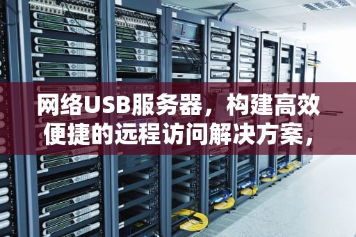 网络USB服务器，构建高效便捷的远程访问解决方案，usb设备服务器