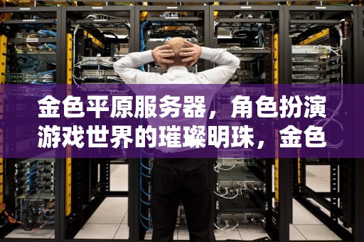 金色平原服务器，角色扮演游戏世界的璀璨明珠，金色平原服务器现状