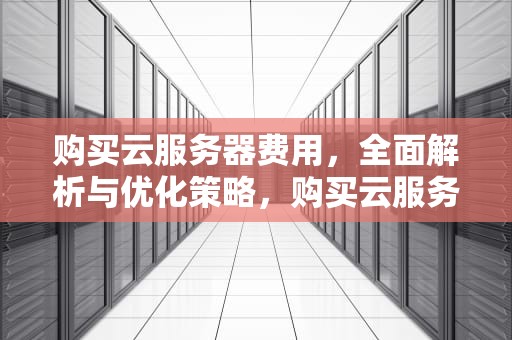 购买云服务器费用，全面解析与优化策略，购买云服务器费用多少