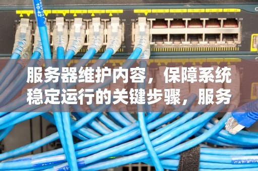 服务器维护内容，保障系统稳定运行的关键步骤，服务器维护内容有哪些