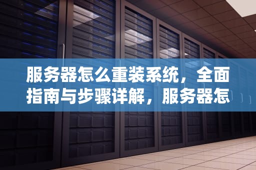 服务器怎么重装系统，全面指南与步骤详解，服务器怎么重装系统u盘