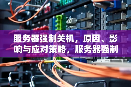 服务器强制关机，原因、影响与应对策略，服务器强制关机有什么影响