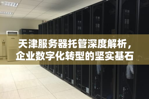 天津服务器托管深度解析，企业数字化转型的坚实基石，天津服务器托管价格