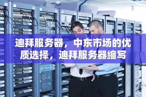 迪拜服务器，中东市场的优质选择，迪拜服务器缩写