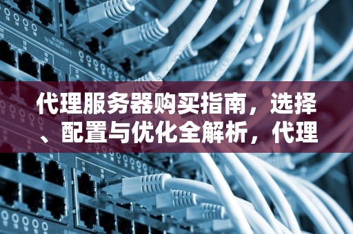 代理服务器购买指南，选择、配置与优化全解析，代理服务器购买流程