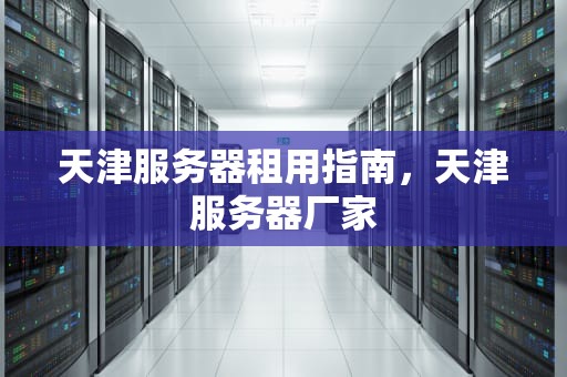 天津服务器租用指南，天津服务器厂家