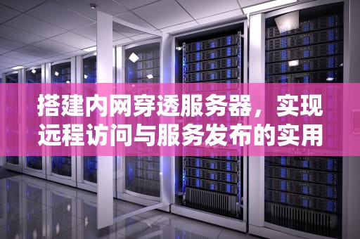 搭建内网穿透服务器，实现远程访问与服务发布的实用指南，搭建内网穿透服务器让clash可以使用