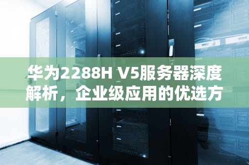 华为2288H V5服务器深度解析，企业级应用的优选方案，华为2288hv5服务器raid配置