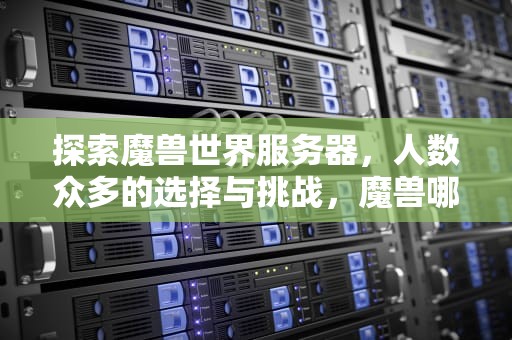 探索魔兽世界服务器，人数众多的选择与挑战，魔兽哪个服务器人多一点