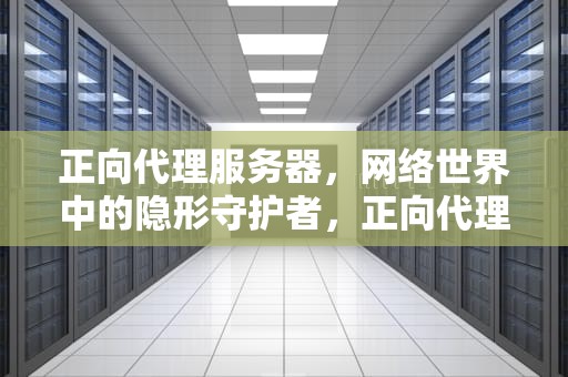 正向代理服务器，网络世界中的隐形守护者，正向代理服务器搭建