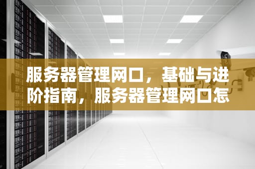 服务器管理网口，基础与进阶指南，服务器管理网口怎么用