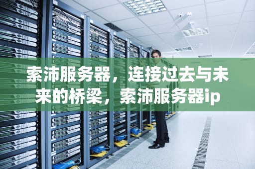 索沛服务器，连接过去与未来的桥梁，索沛服务器ip