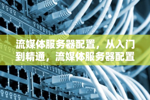 流媒体服务器配置，从入门到精通，流媒体服务器配置要求