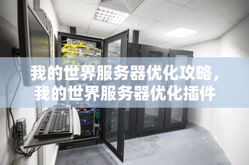 我的世界服务器优化攻略，我的世界服务器优化插件