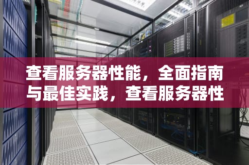 查看服务器性能，全面指南与最佳实践，查看服务器性能命令
