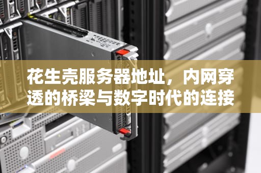 花生壳服务器地址，内网穿透的桥梁与数字时代的连接者，如何查看花生壳域名服务器地址